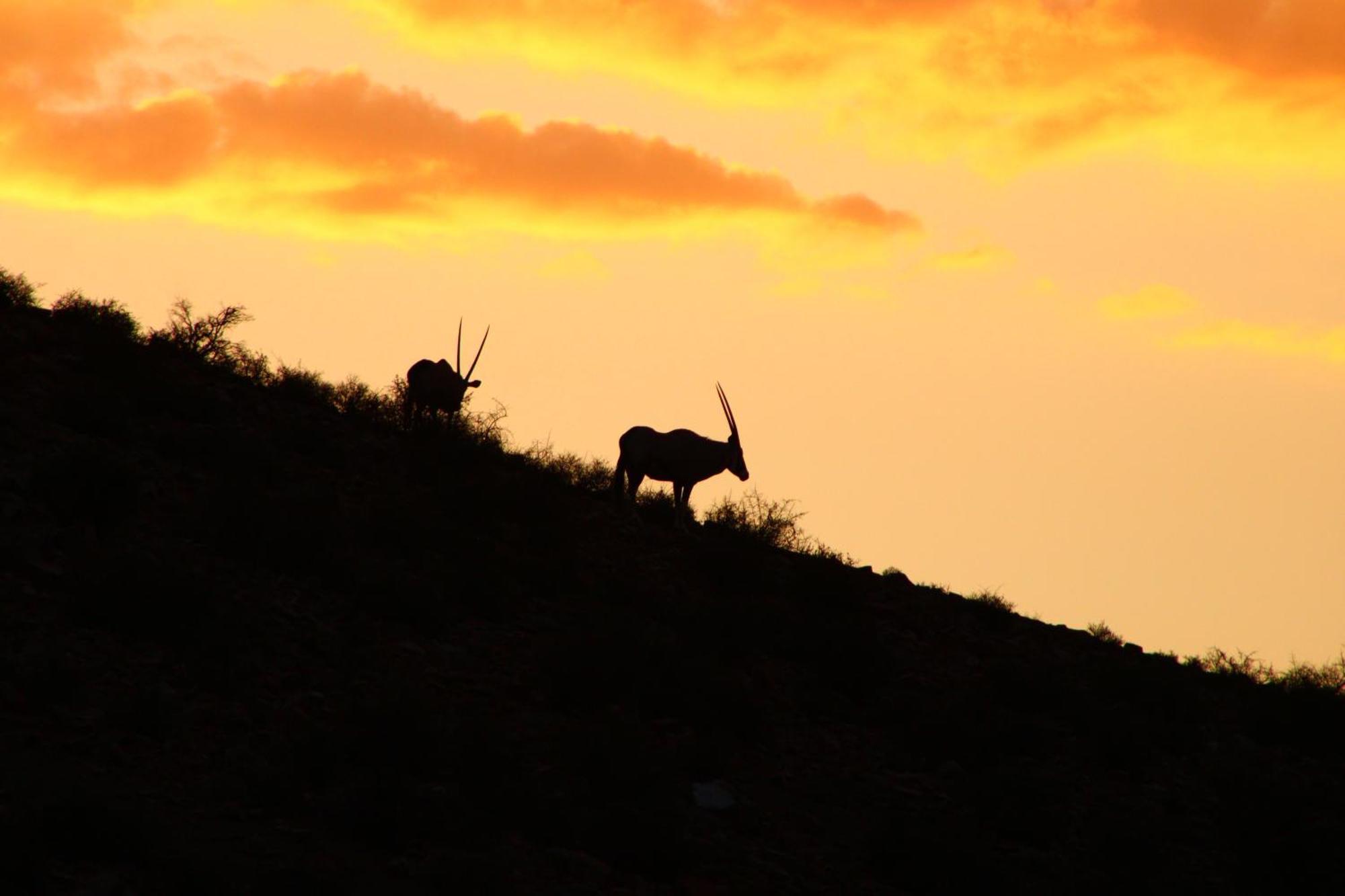 Bosch Luys Kloof Nature Reserve Ladismith Bagian luar foto