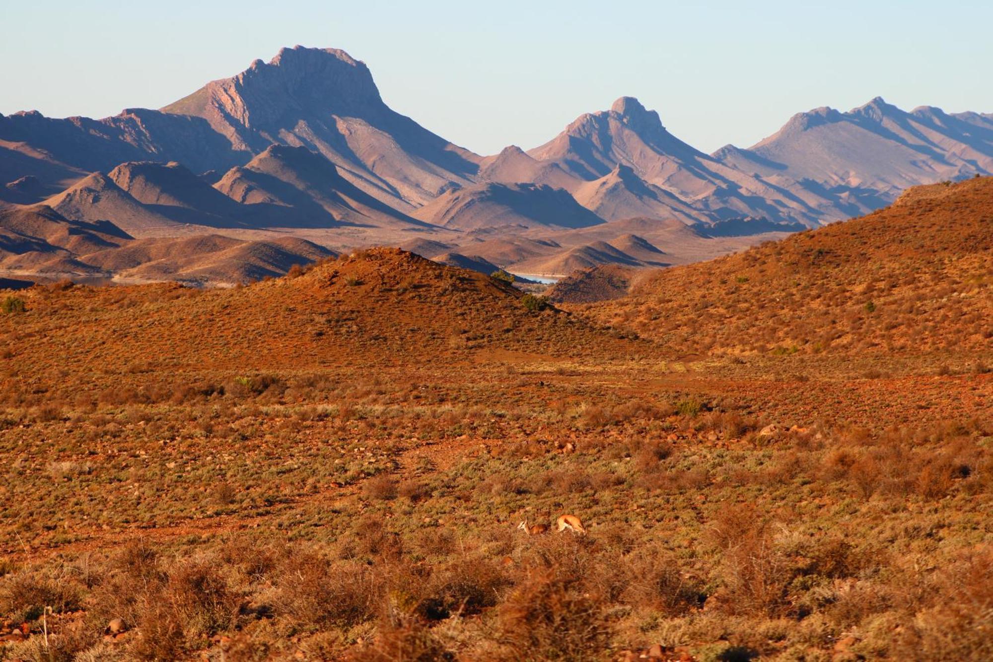 Bosch Luys Kloof Nature Reserve Ladismith Bagian luar foto