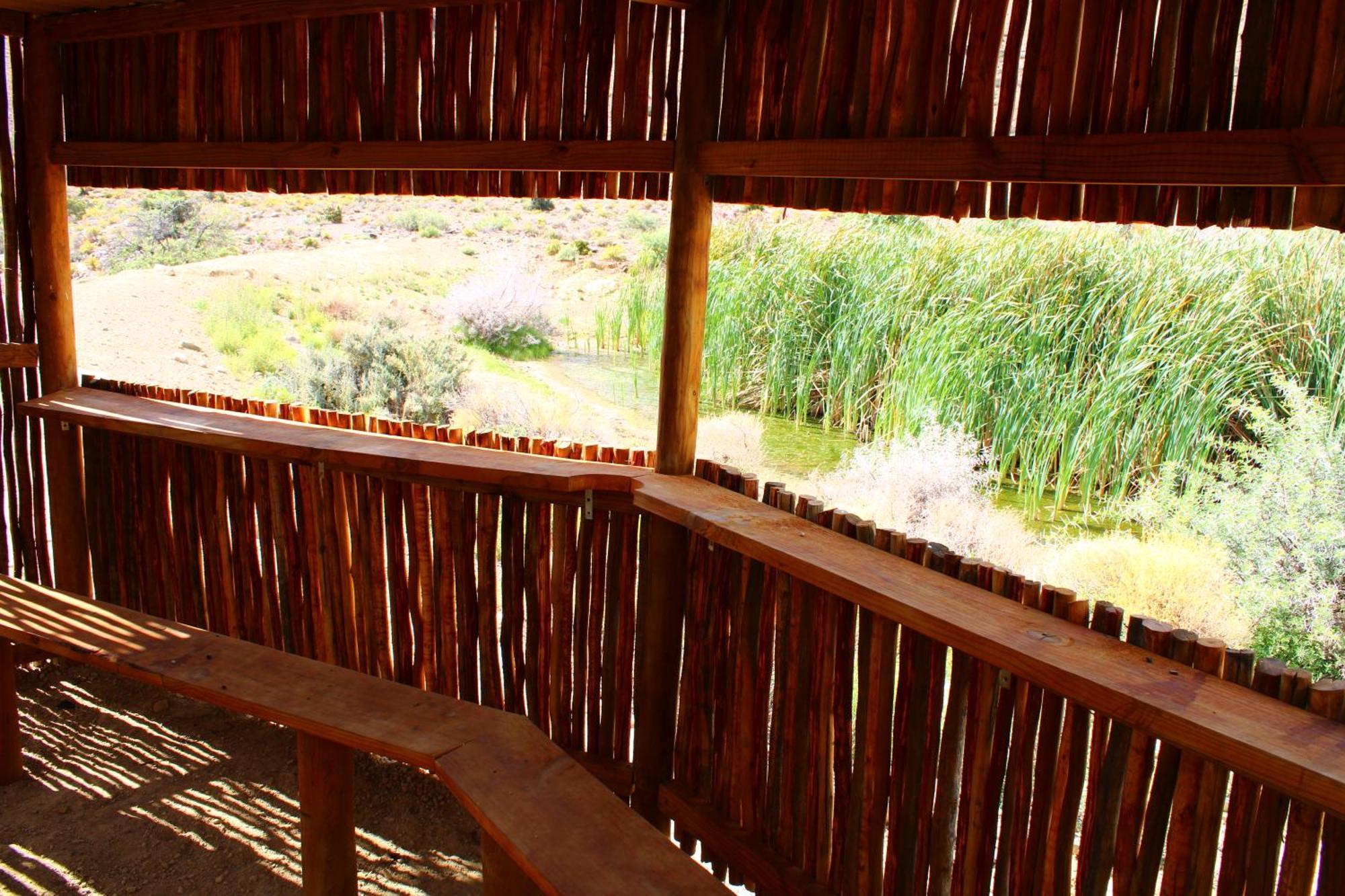 Bosch Luys Kloof Nature Reserve Ladismith Bagian luar foto