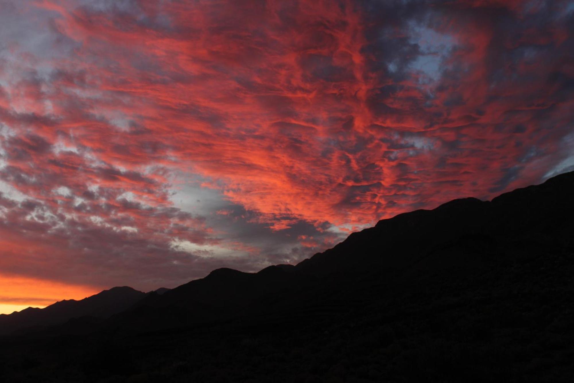 Bosch Luys Kloof Nature Reserve Ladismith Bagian luar foto